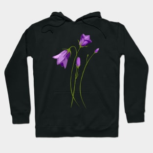 Wildflowers garden Hoodie